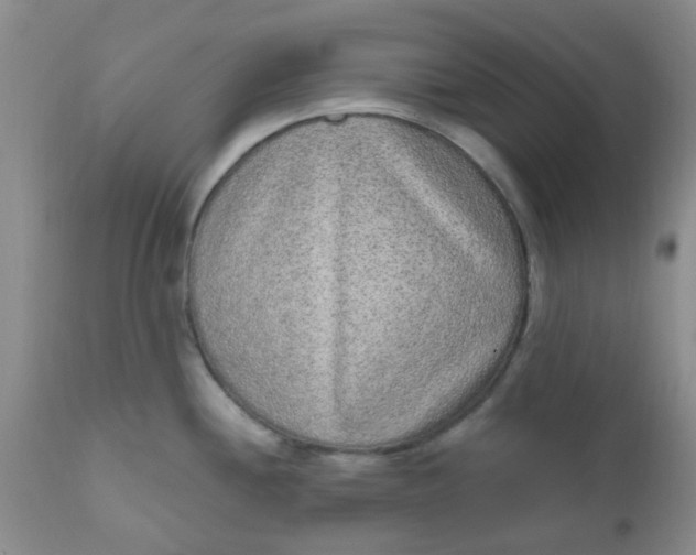 X0000110961244200907022213