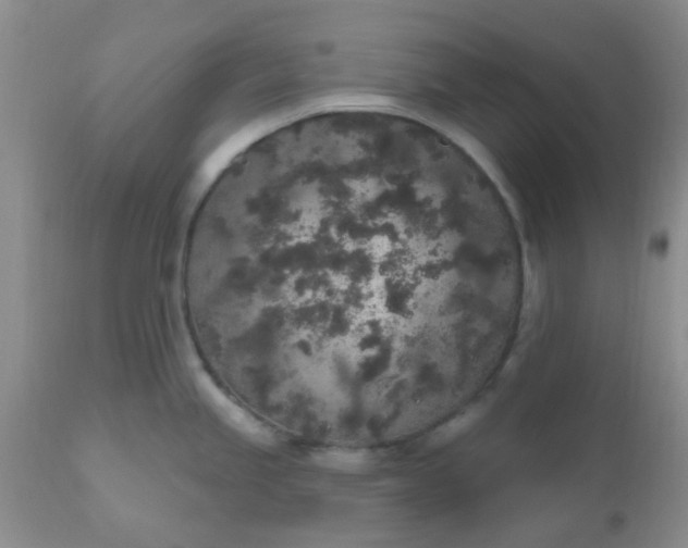 X0000110961245200907022213