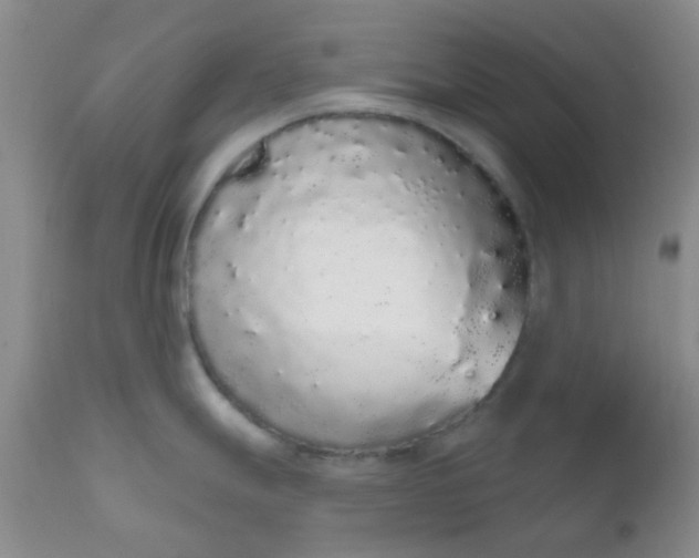 X0000110961247200907022213