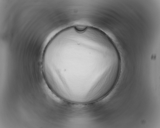 X0000110961248200907022213