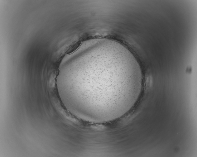 X0000110961250200907022213