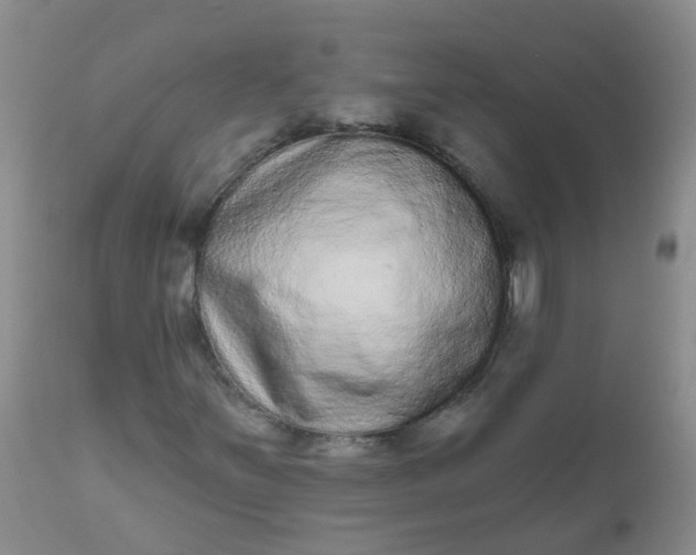 X0000110961251200907022213