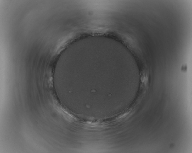 X0000110961252200907022213