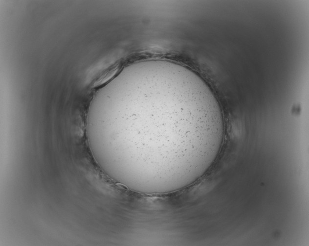 X0000110961253200907022213