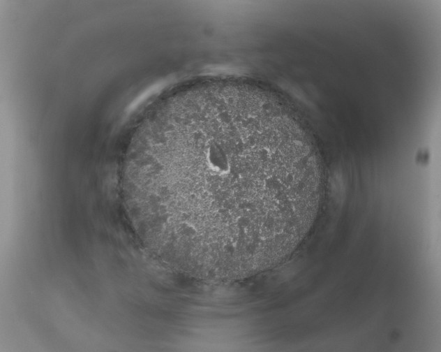 X0000110961254200907022213