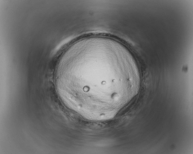 X0000110961255200907022213