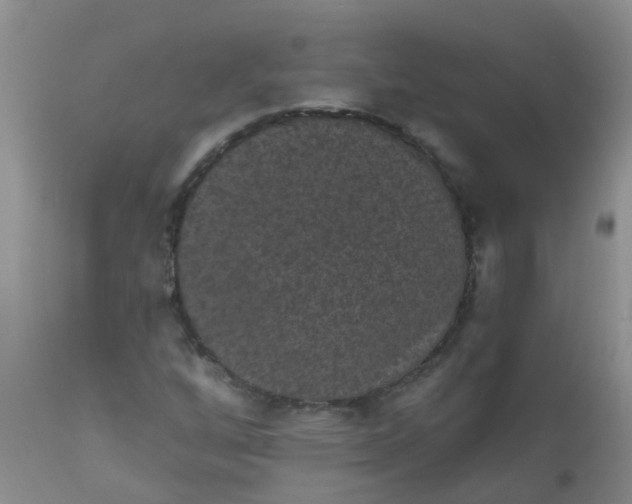 X0000110961256200907022213