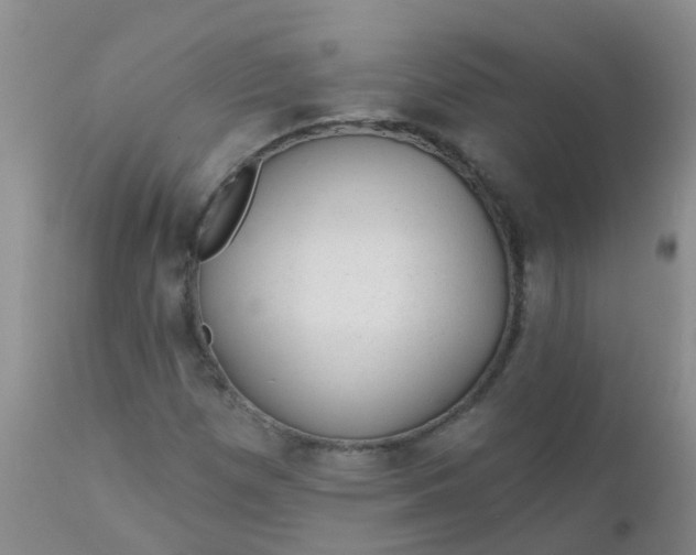 X0000110961257200907022213