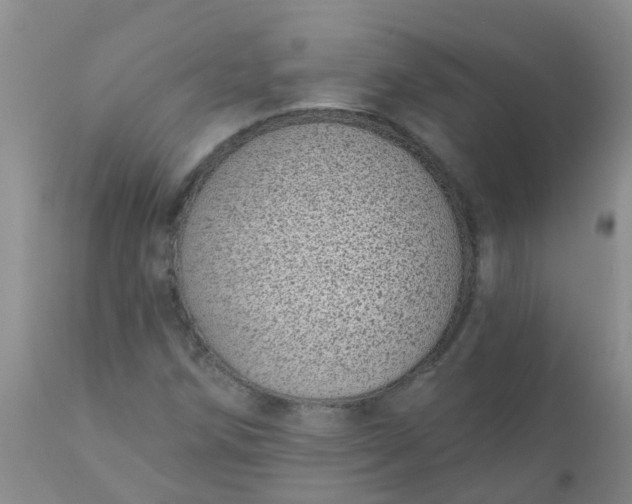 X0000110961258200907022213