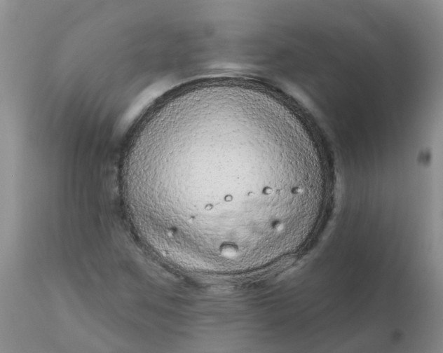 X0000110961259200907022213