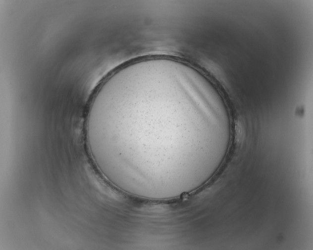 X0000110961260200907022213