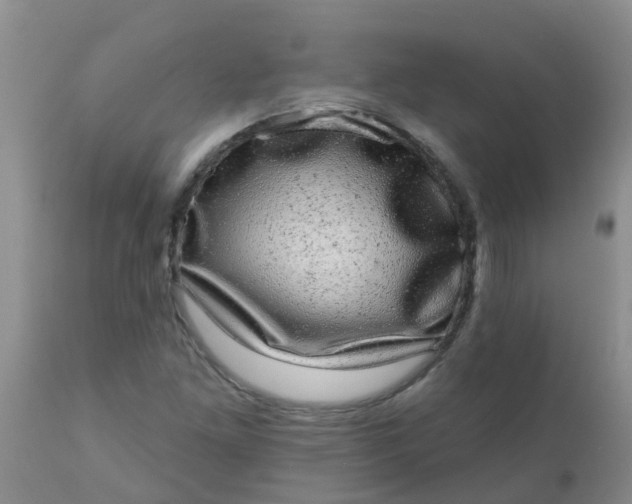 X0000110961261200907022213