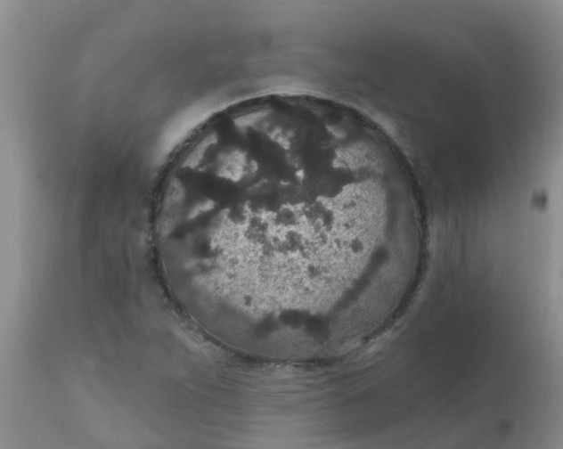 X0000110961263200907022213