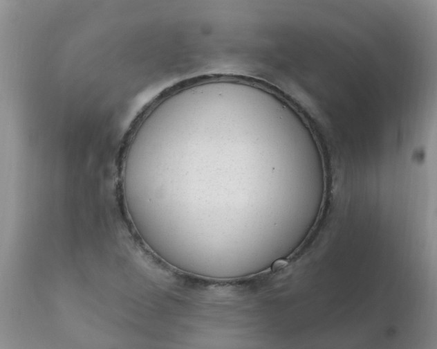 X0000110961264200907022213