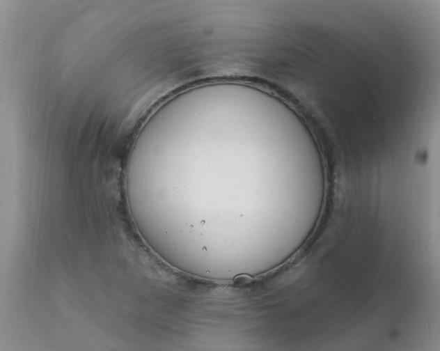 X0000110961265200907022213