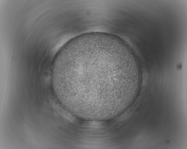 X0000110961266200907022213