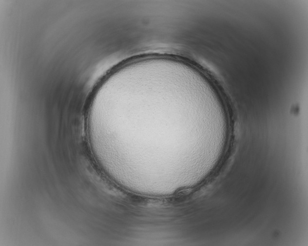 X0000110961267200907022213