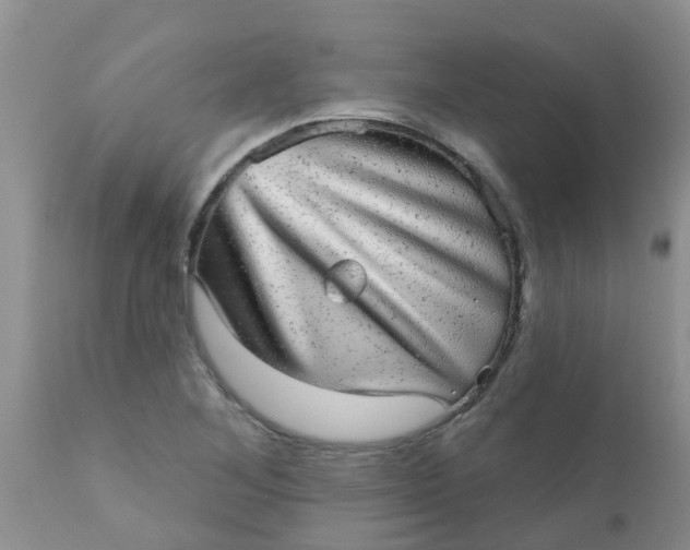 X0000110961268200907022213