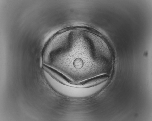 X0000110961269200907022212