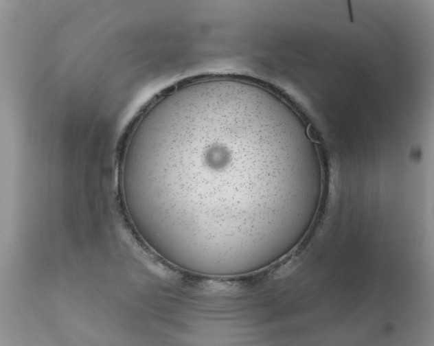 X0000110961270200907022212