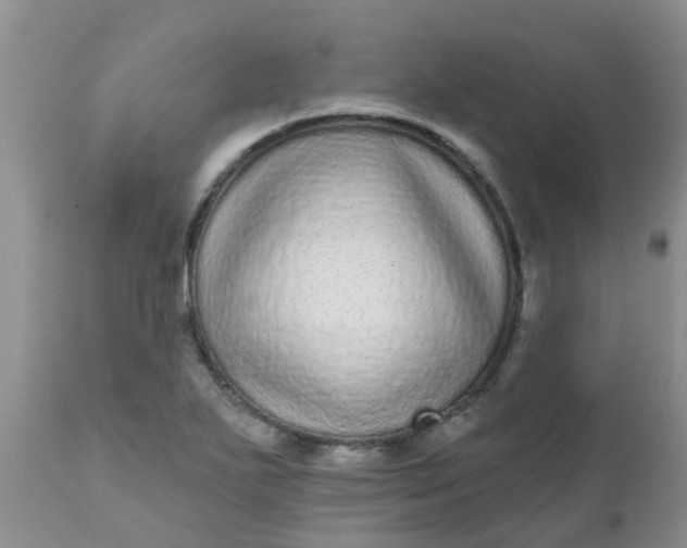 X0000110961271200907022212