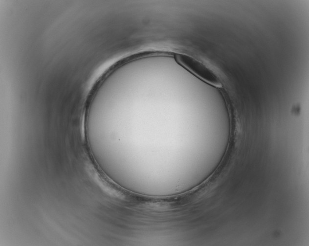 X0000110961272200907022212