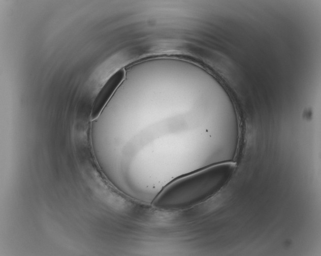 X0000110961273200907022212