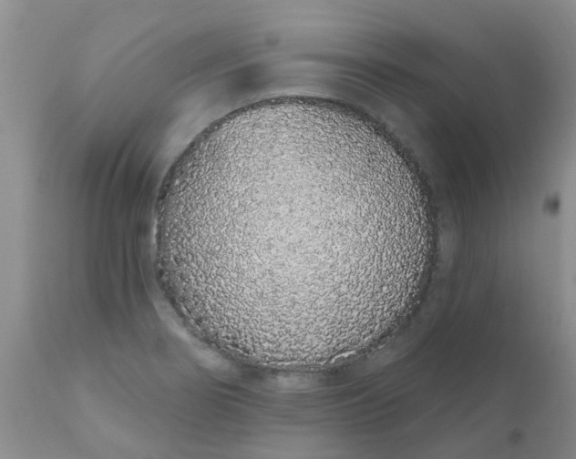 X0000110961274200907022212