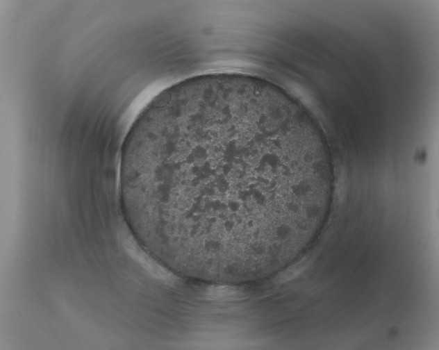 X0000110961275200907022212