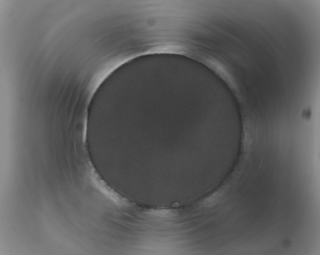 X0000110961276200907022212