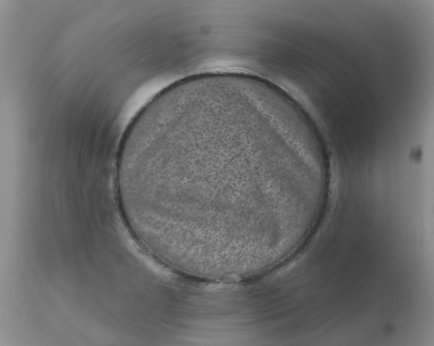 X0000110961277200907022212