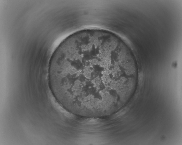 X0000110961279200907022212