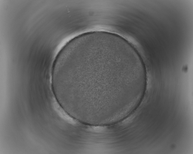 X0000110961280200907022212