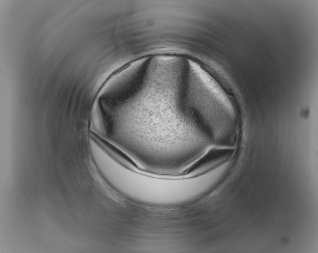 X0000110961281200907022212