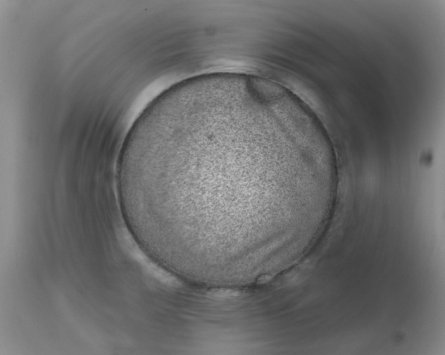 X0000110961283200907022212