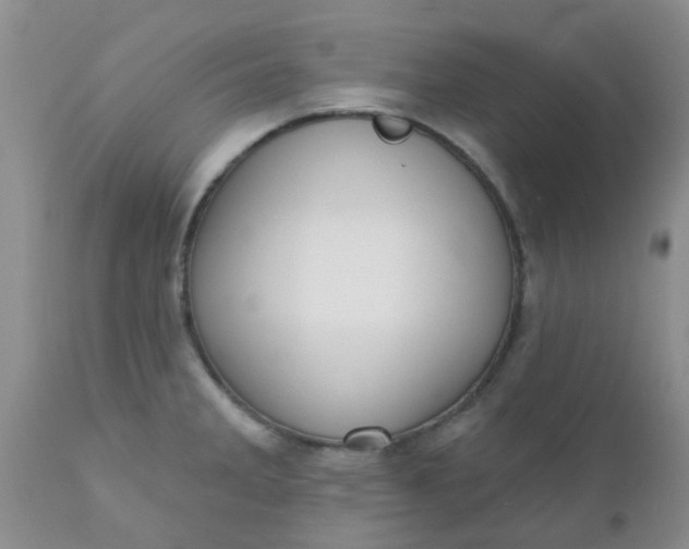 X0000110961285200907022212