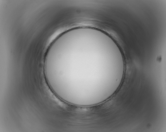 X0000110961286200907022212