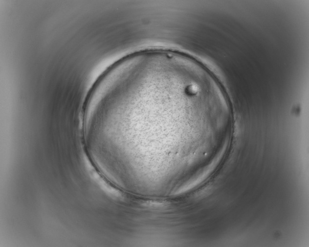 X0000110961287200907022212