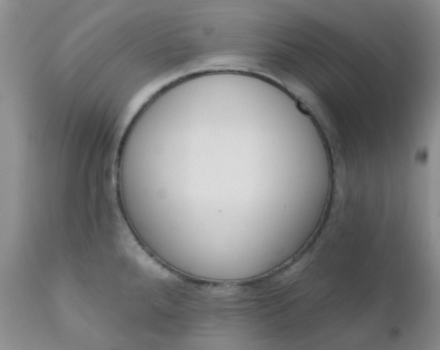 X0000110961288200907022212