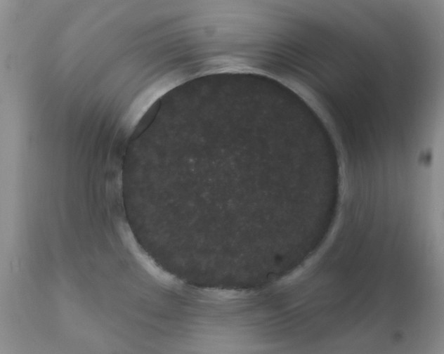 X0000110961289200907022212