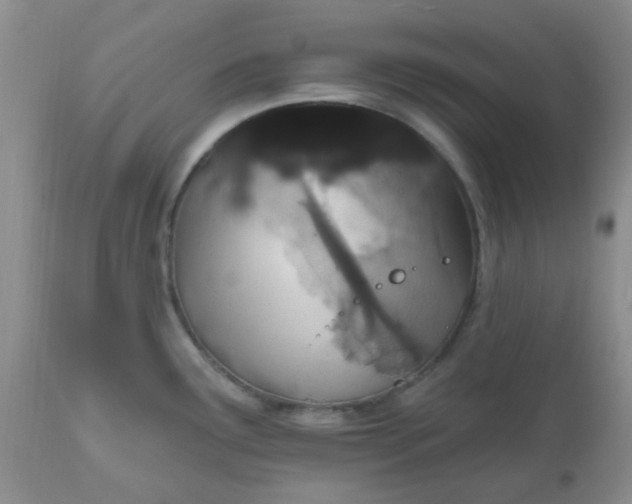 X0000110961291200907022212