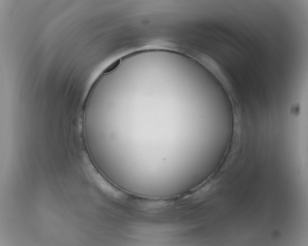 X0000110961292200907022212