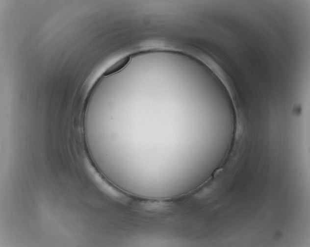 X0000110961293200907022212