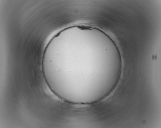 X0000110961296200907022212