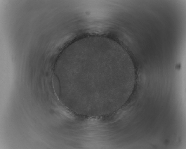 X0000110961297200907022211