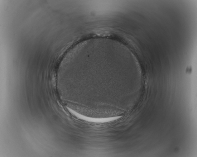 X0000110961298200907022211