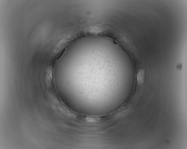 X0000110961299200907022211