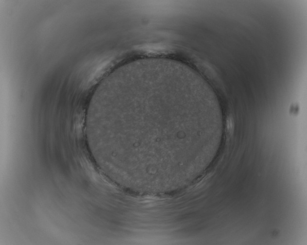 X0000110961300200907022212