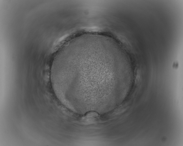 X0000110961301200907022212