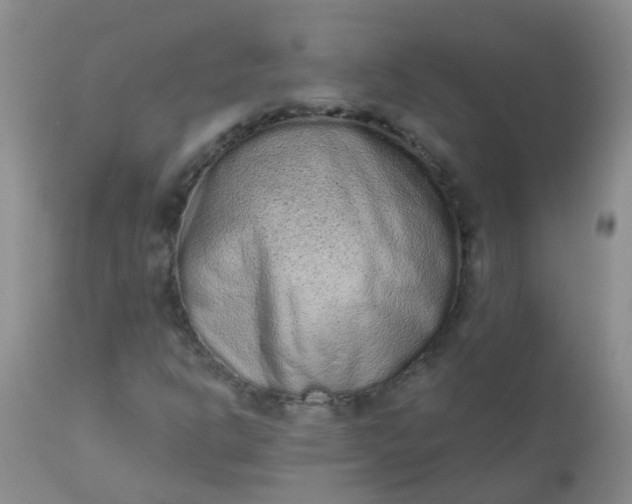 X0000110961302200907022212